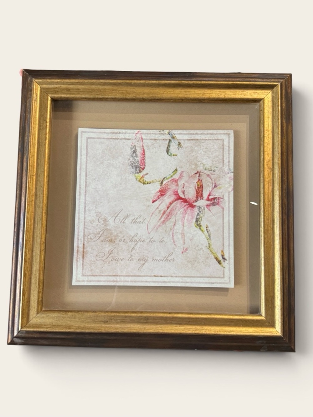 Kirkland’s Framed Wall Art- ‘All that I am or hope to be, I owe to my mother’